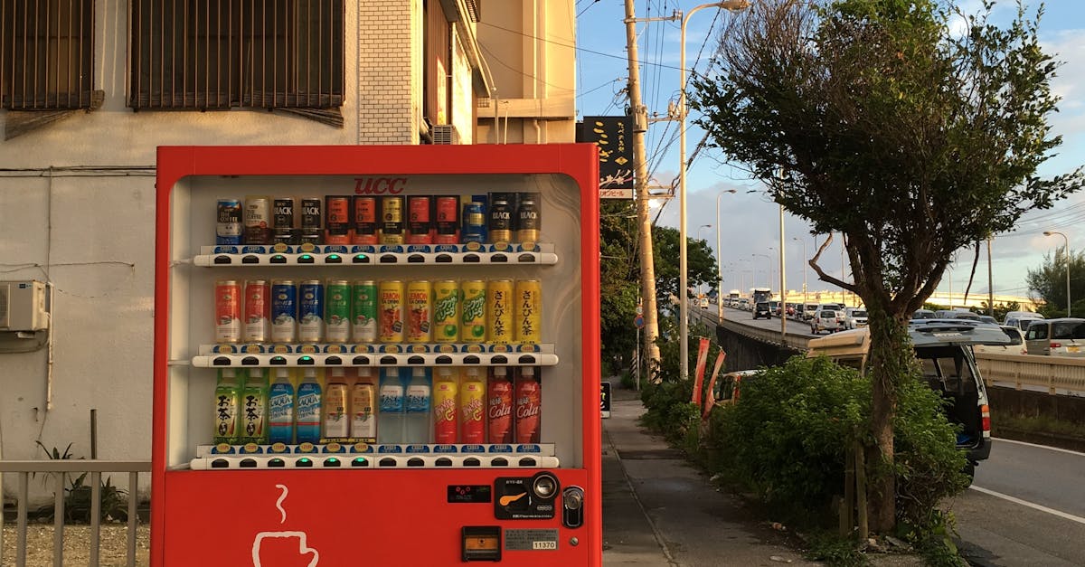What are the top 3 major cities in Japan?