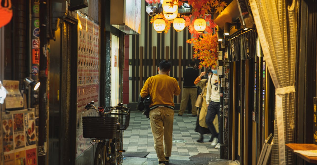 What state would Japan fit in?
